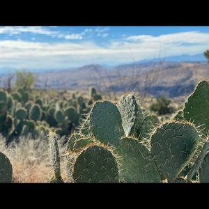 Meet your Posher, Kendra